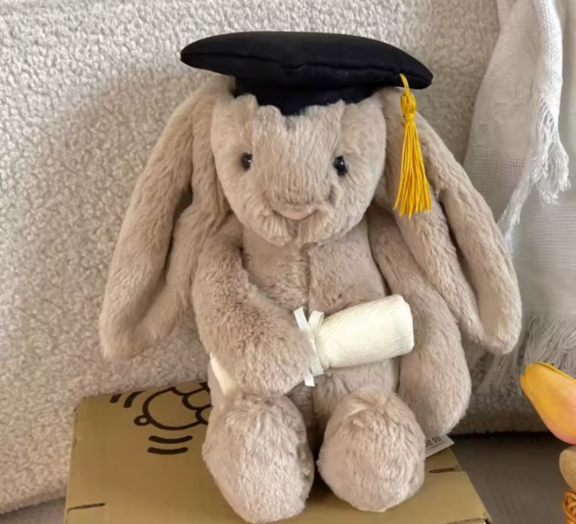 Graduation Jelly Cat Bunny