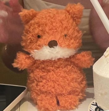 Jelly Cat Inspired Fox