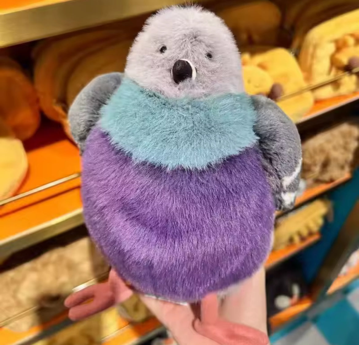 Jelly cat Pigeon