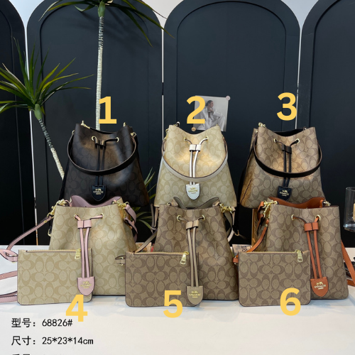 Coach Backpack and Wristlet