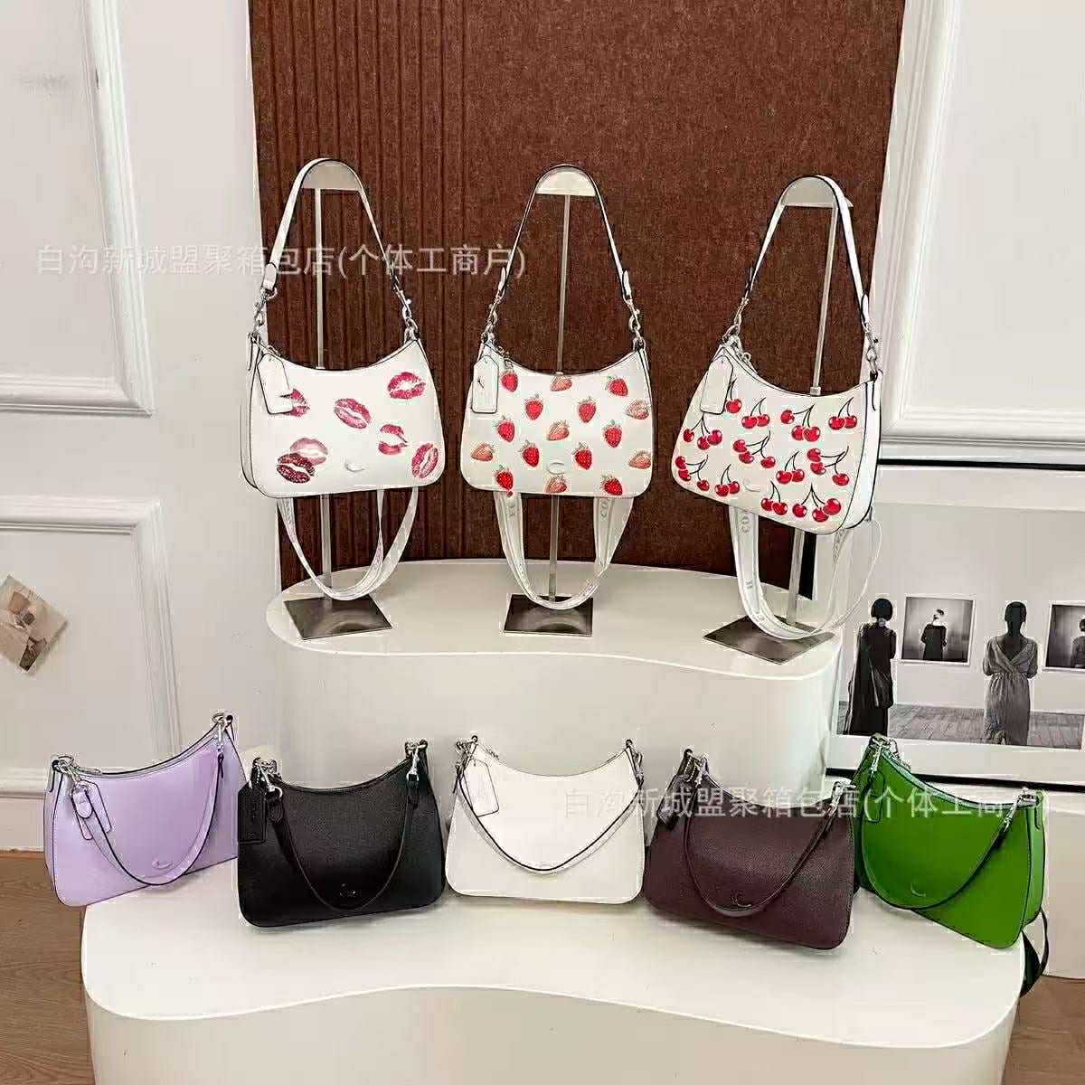 Coach Hobo Shoulder Bag