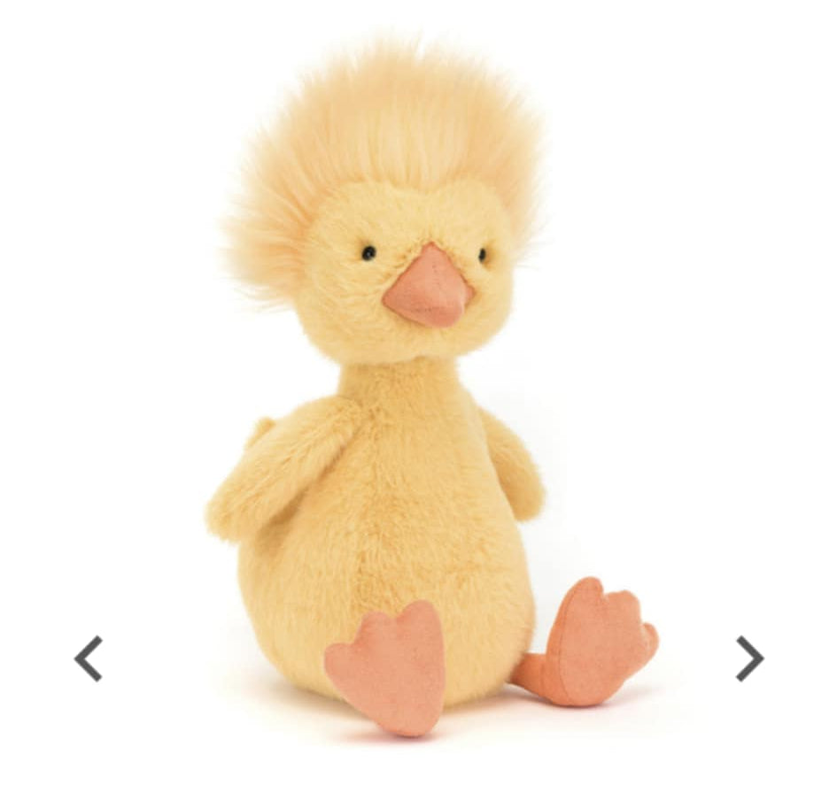 Dorito Duckling Jelly Cat