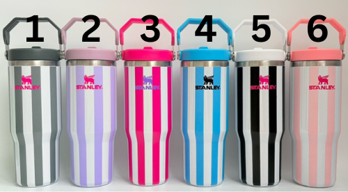 30 ounce Stanley Striped Tumblers