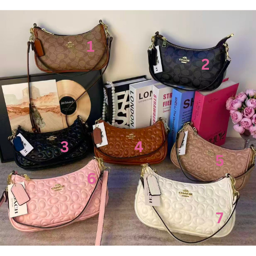Coach Small Bag