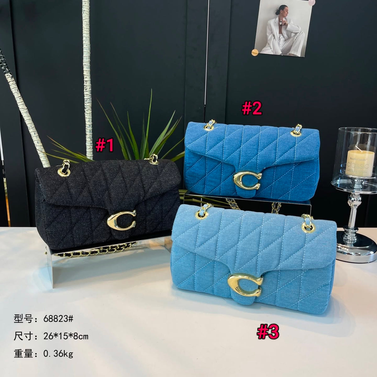 Coach Denim Bag