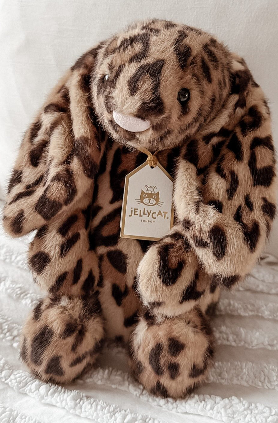 Exclusive Cobble Hop Bunny Jelly Cat