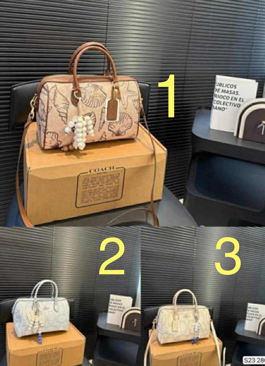 Coach Inspired Speedy Bag